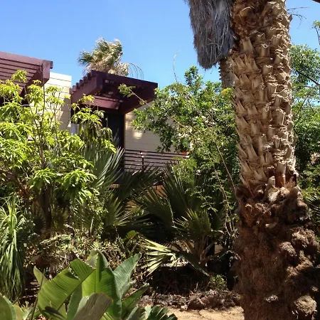 South Tenerife, Sunshine Guarantee Appartement Costa Del Silencio
